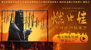 国产tv